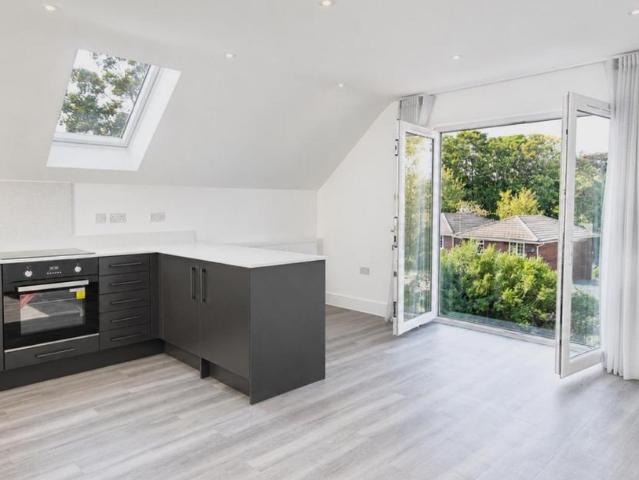 1 bedroom apartment to rent
