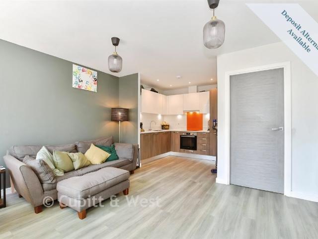 1 bedroom apartment to rent