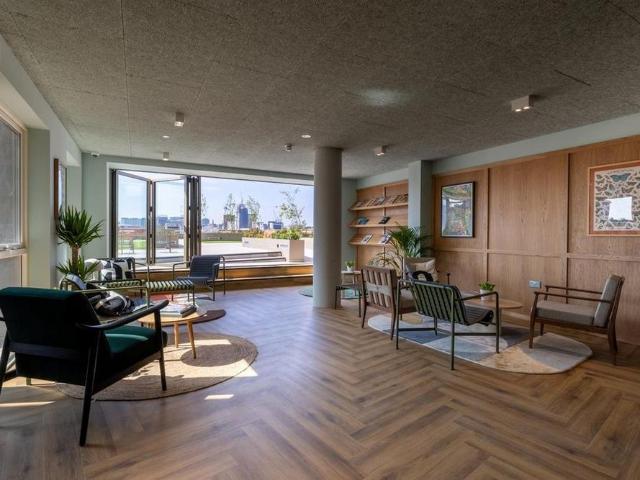 1 bedroom apartment to rent