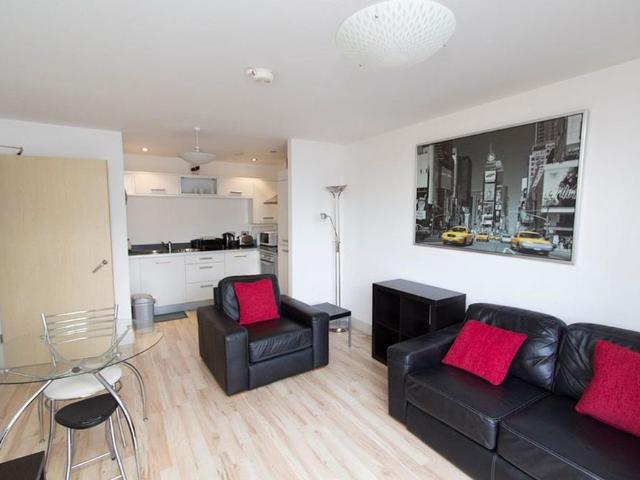 1 bedroom apartment to rent