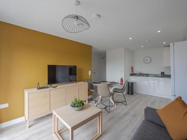 1 bedroom apartment to rent