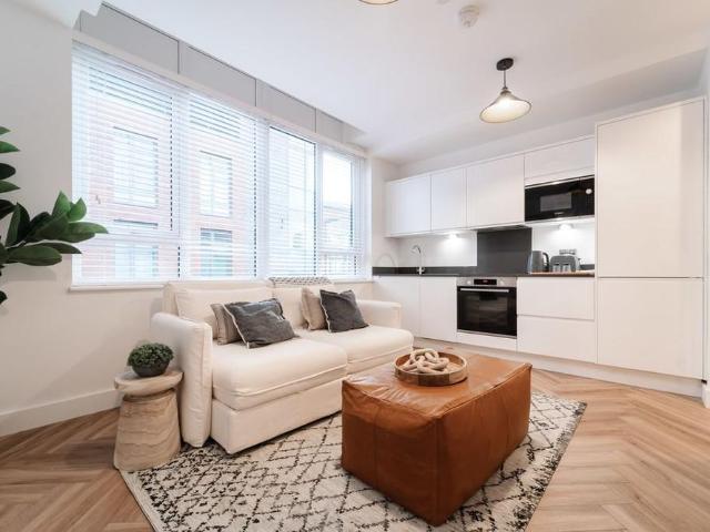 1 bedroom apartment to rent