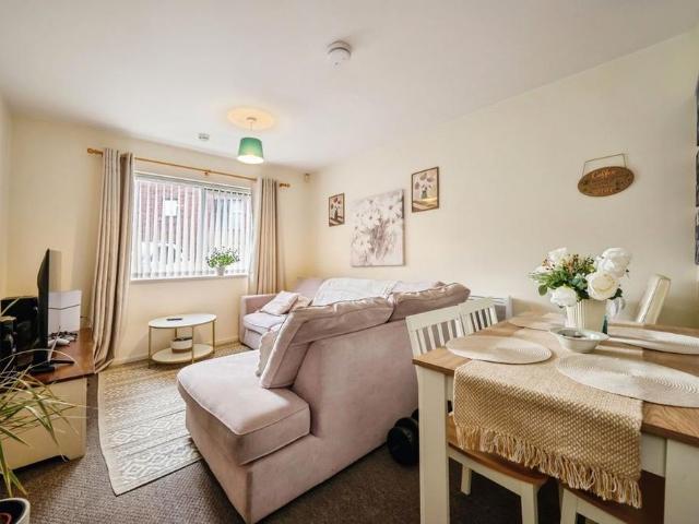 1 bedroom apartment to rent