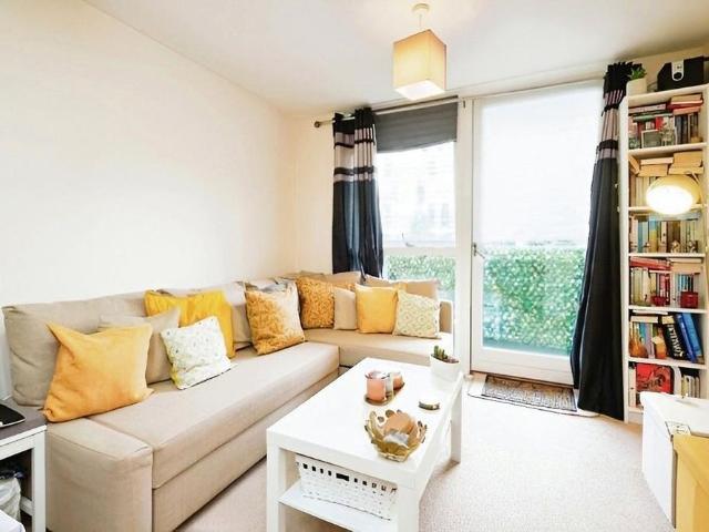 1 bedroom apartment to rent