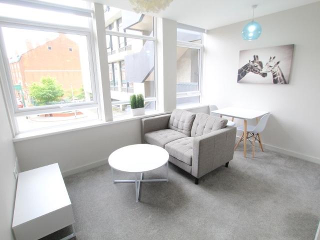 1 bedroom apartment to rent