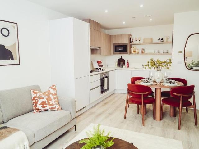 1 bedroom apartment to rent