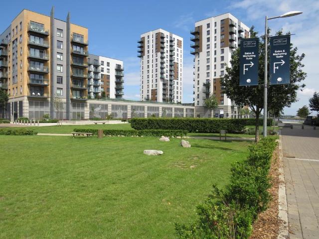 1 bedroom apartment to rent