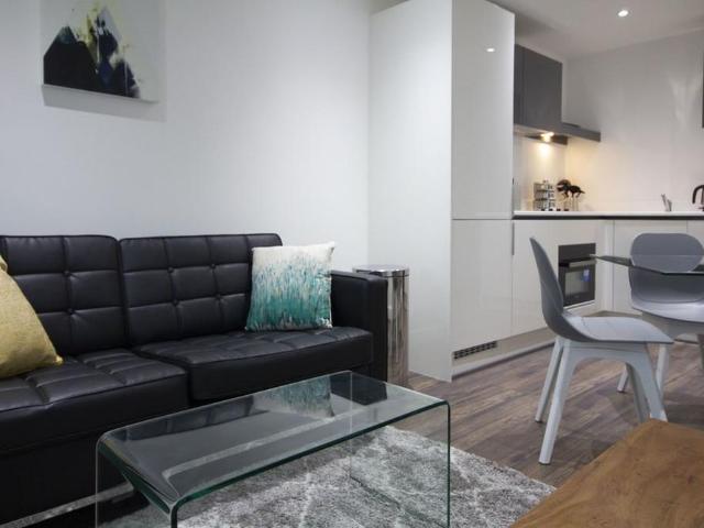 1 bedroom apartment to rent