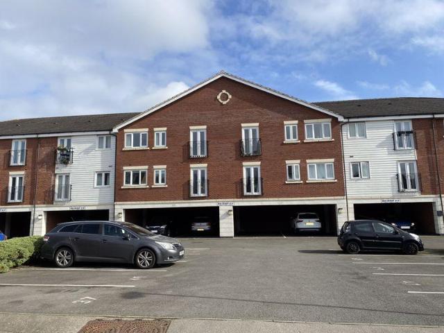 1 bedroom apartment to rent