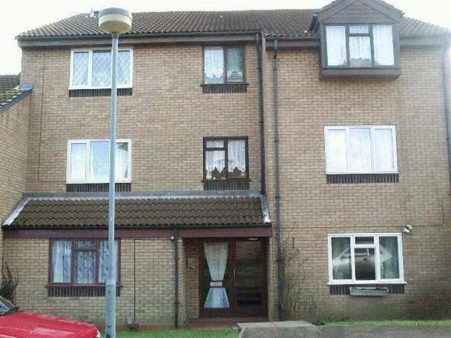 1 bedroom apartment to rent