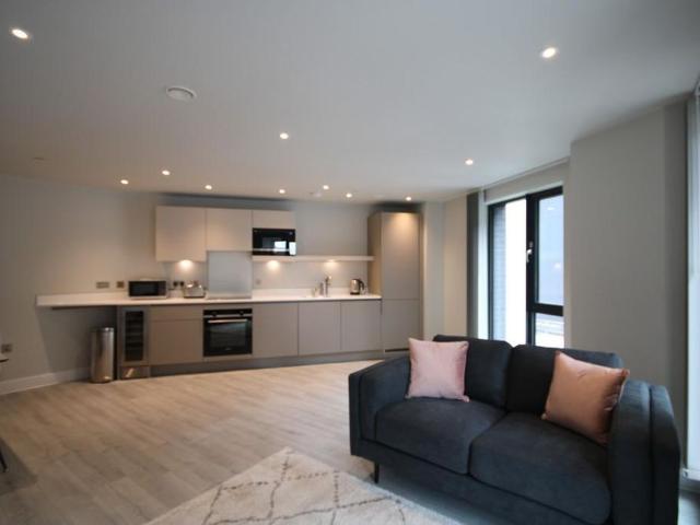 1 bedroom apartment to rent