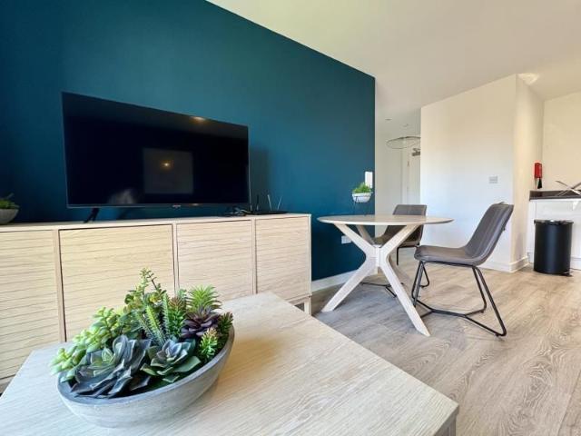 1 bedroom apartment to rent