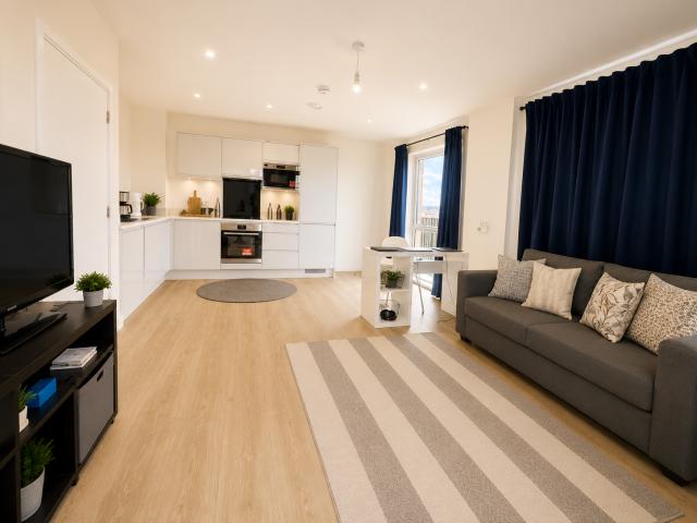 1 bedroom apartment to rent