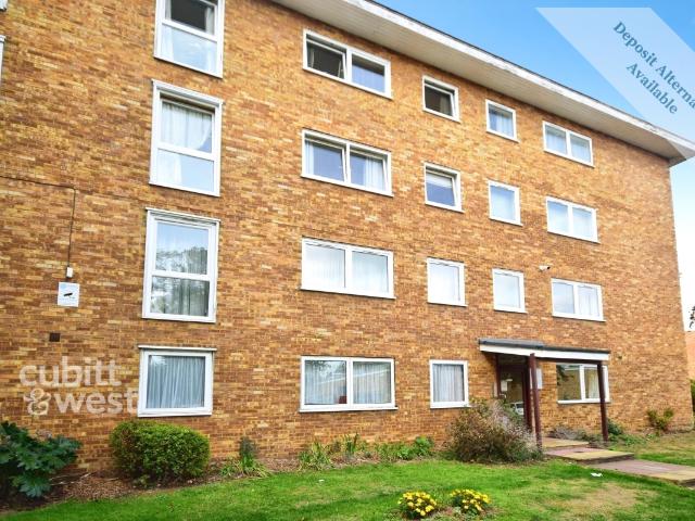 1 bedroom apartment to rent