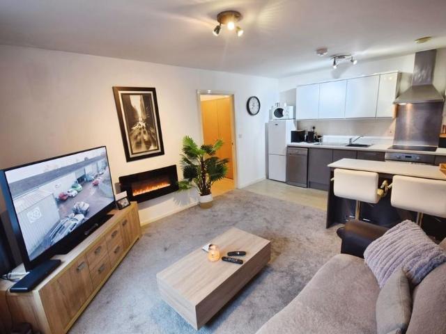 1 bedroom apartment to rent