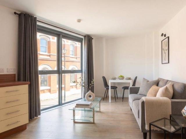 1 bedroom apartment to rent