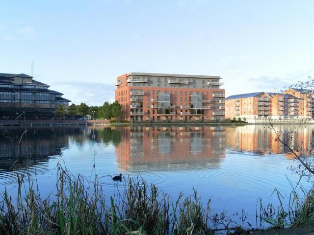 1 bedroom apartment to rent