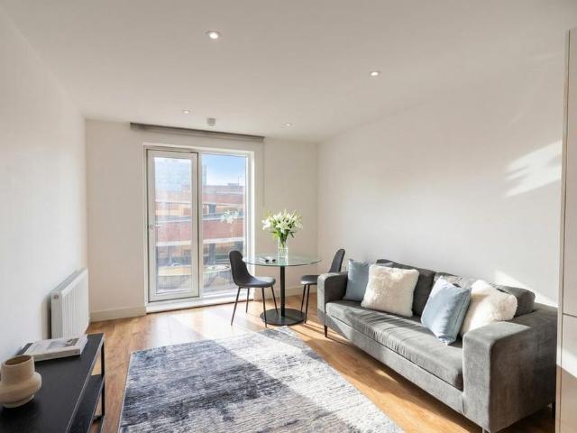 1 bedroom apartment to rent