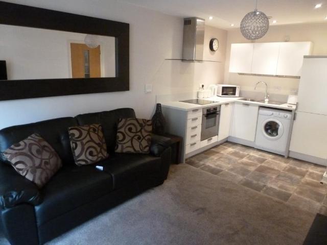 1 bedroom apartment to rent