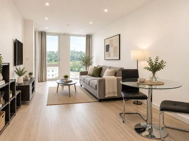 1 bedroom apartment to rent