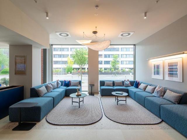 1 bedroom apartment to rent