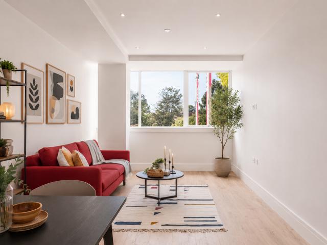 1 bedroom apartment to rent
