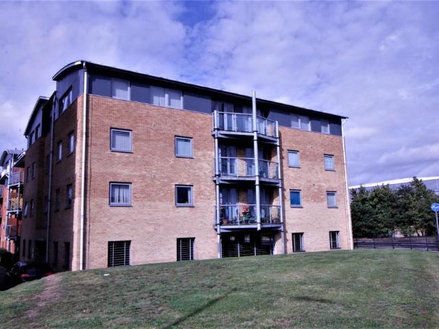 1 bedroom apartment to rent