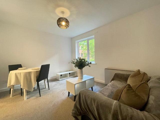 1 bedroom apartment to rent