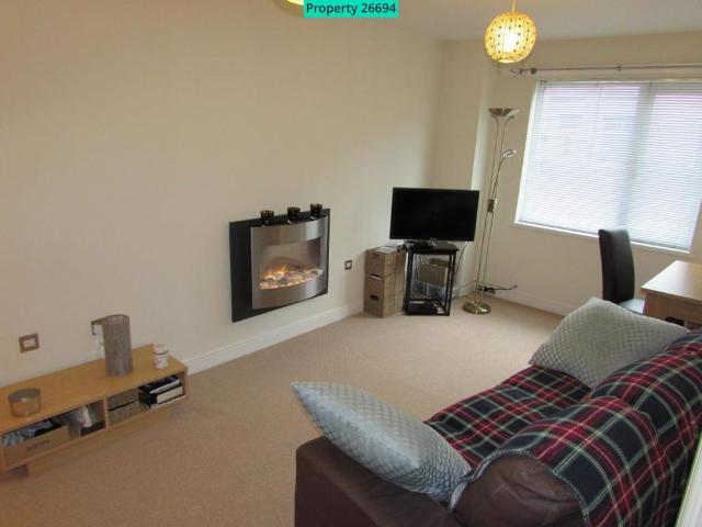 1 bedroom apartment to rent