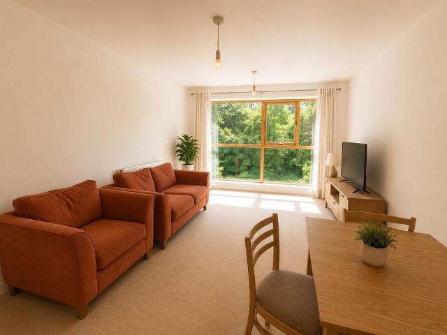 1 bedroom apartment to rent