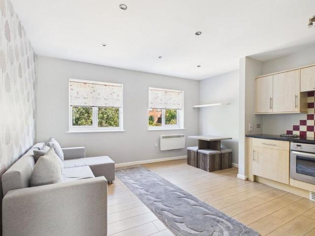 1 bedroom apartment to rent