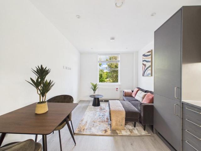 1 bedroom apartment to rent