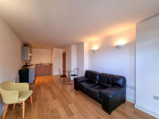 1 bedroom apartment to rent
