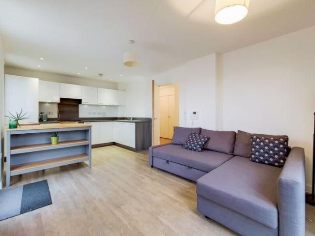 1 bedroom apartment to rent