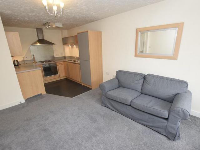 1 bedroom apartment to rent