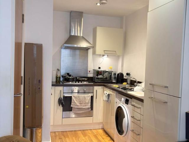 1 bedroom apartment to rent