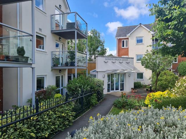 1 bedroom apartment to rent