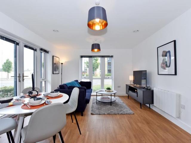 1 bedroom apartment to rent