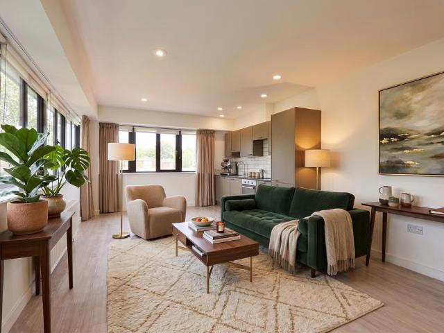 1 bedroom apartment to rent