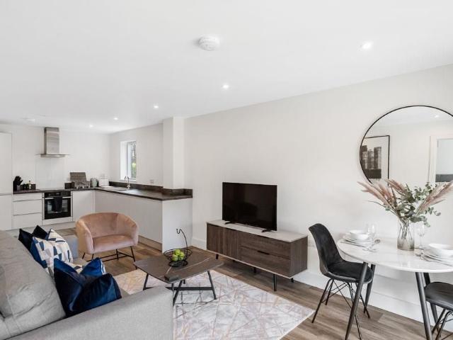 1 bedroom apartment to rent