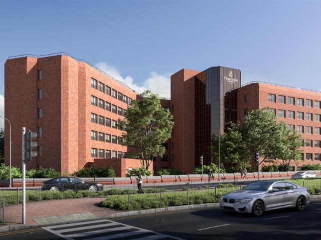 1 bedroom apartment to rent