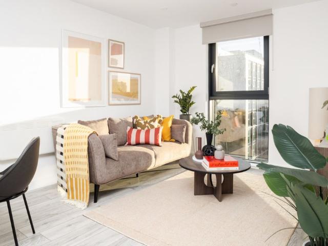 1 bedroom apartment to rent