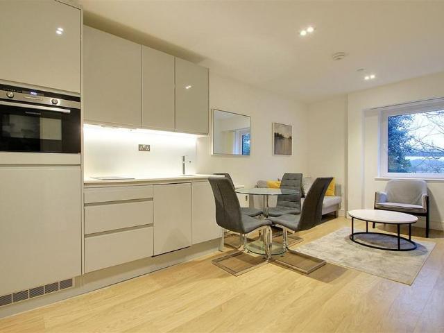 1 bedroom apartment to rent