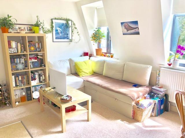 1 bedroom apartment to rent