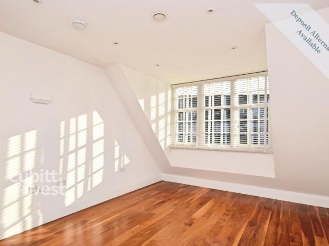 1 bedroom apartment to rent