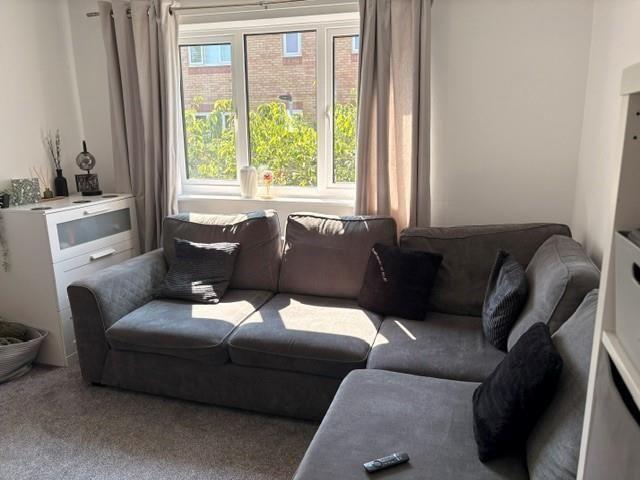 1 bedroom apartment to rent