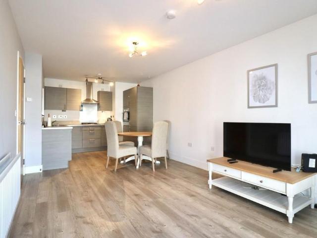 1 bedroom apartment to rent