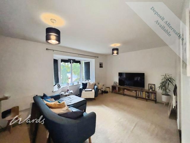 1 bedroom apartment to rent