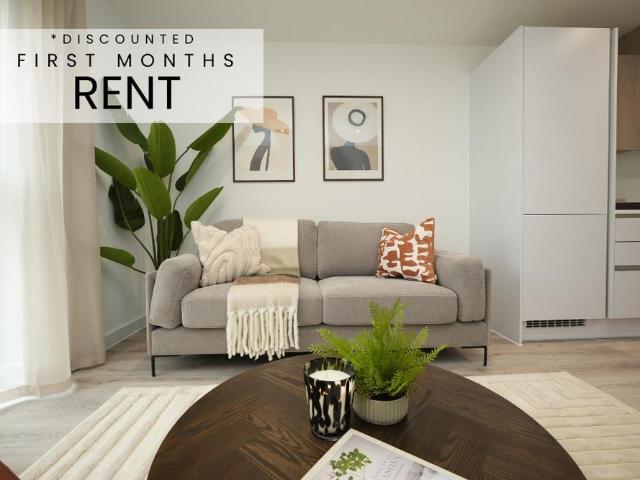 1 bedroom apartment to rent