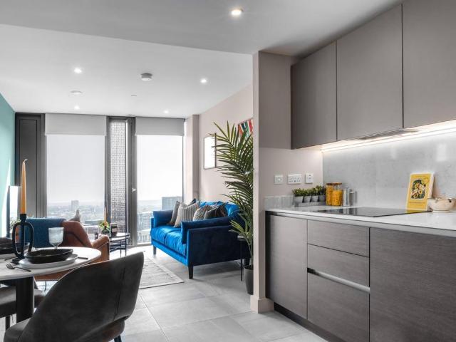 1 bedroom apartment to rent